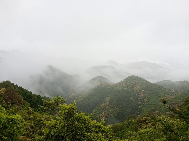 Kumano_Kodo_2025