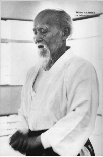  ueshiba furitama